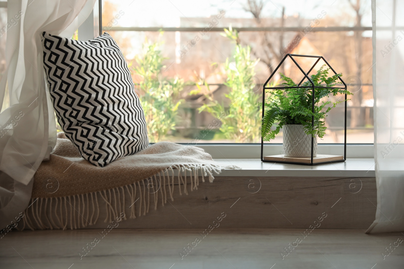 Photo of Beautiful fern, pillow and plaid on window sill indoors