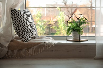 Photo of Beautiful fern, pillow and plaid on window sill indoors