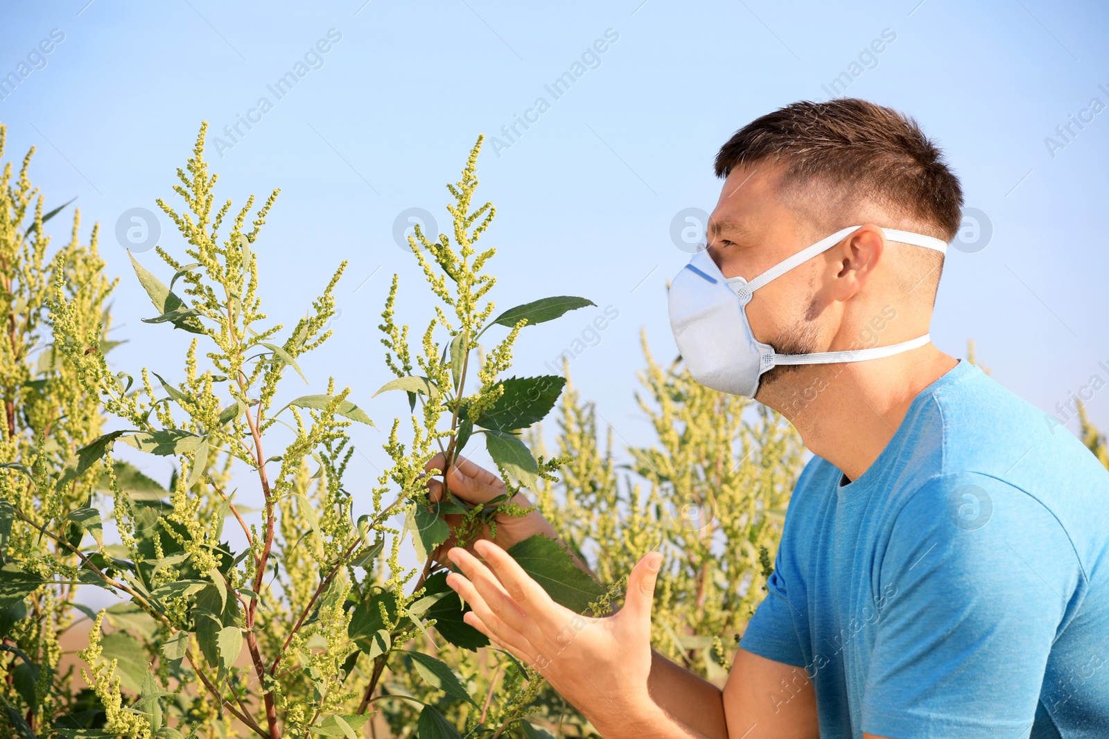 Photo of Man suffering from ragweed allergy outdoors on sunny day