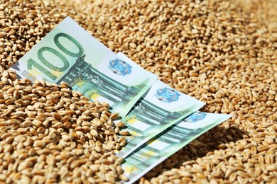Photo of Wheat grains with euro banknotes, closeup. Global food crisis concept