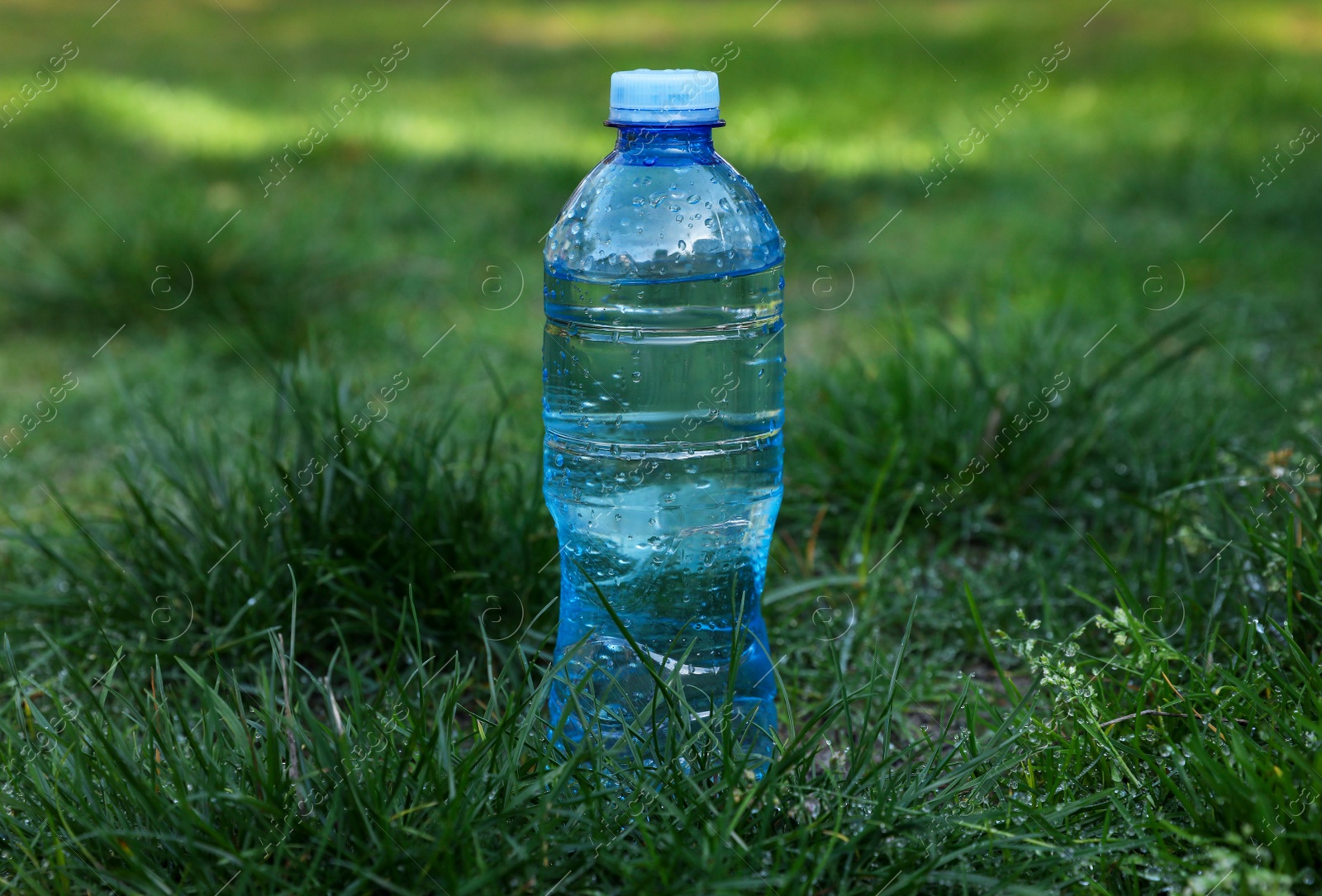 Photo of Plastic bottle of water on green grass outdoors