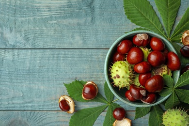 Photo of Horse chestnuts and leaves on blue wooden table, flat lay. Space for text