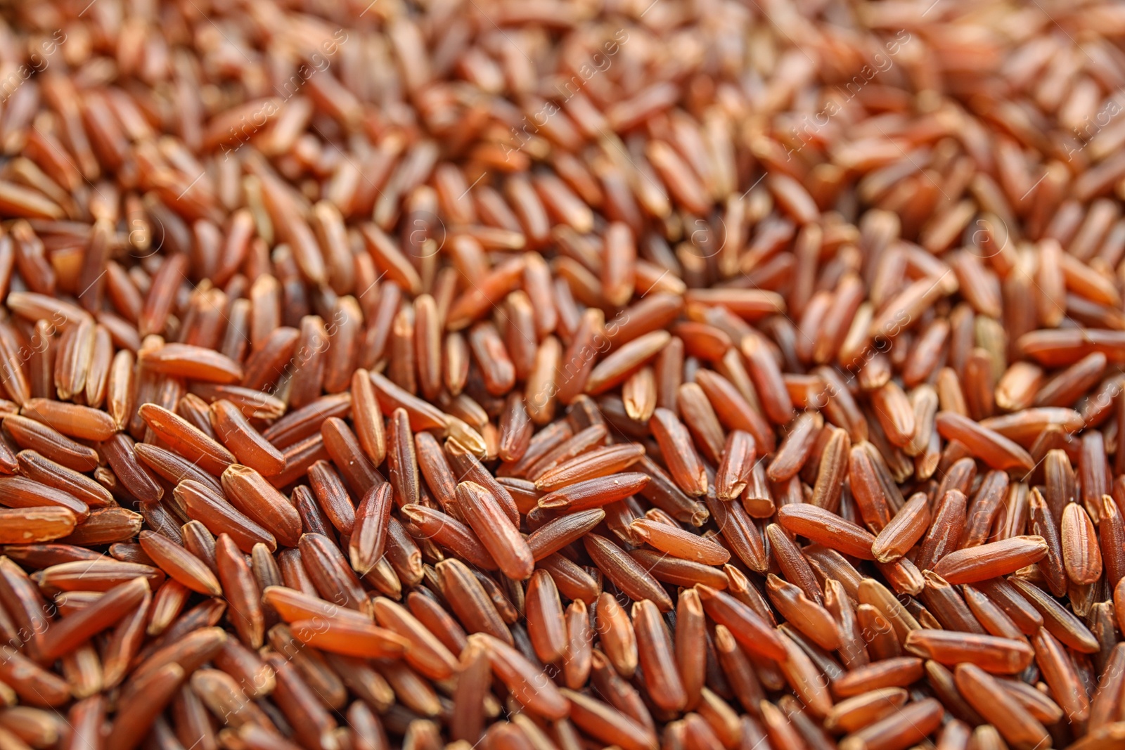 Photo of Pile of uncooked red rice as background, closeup