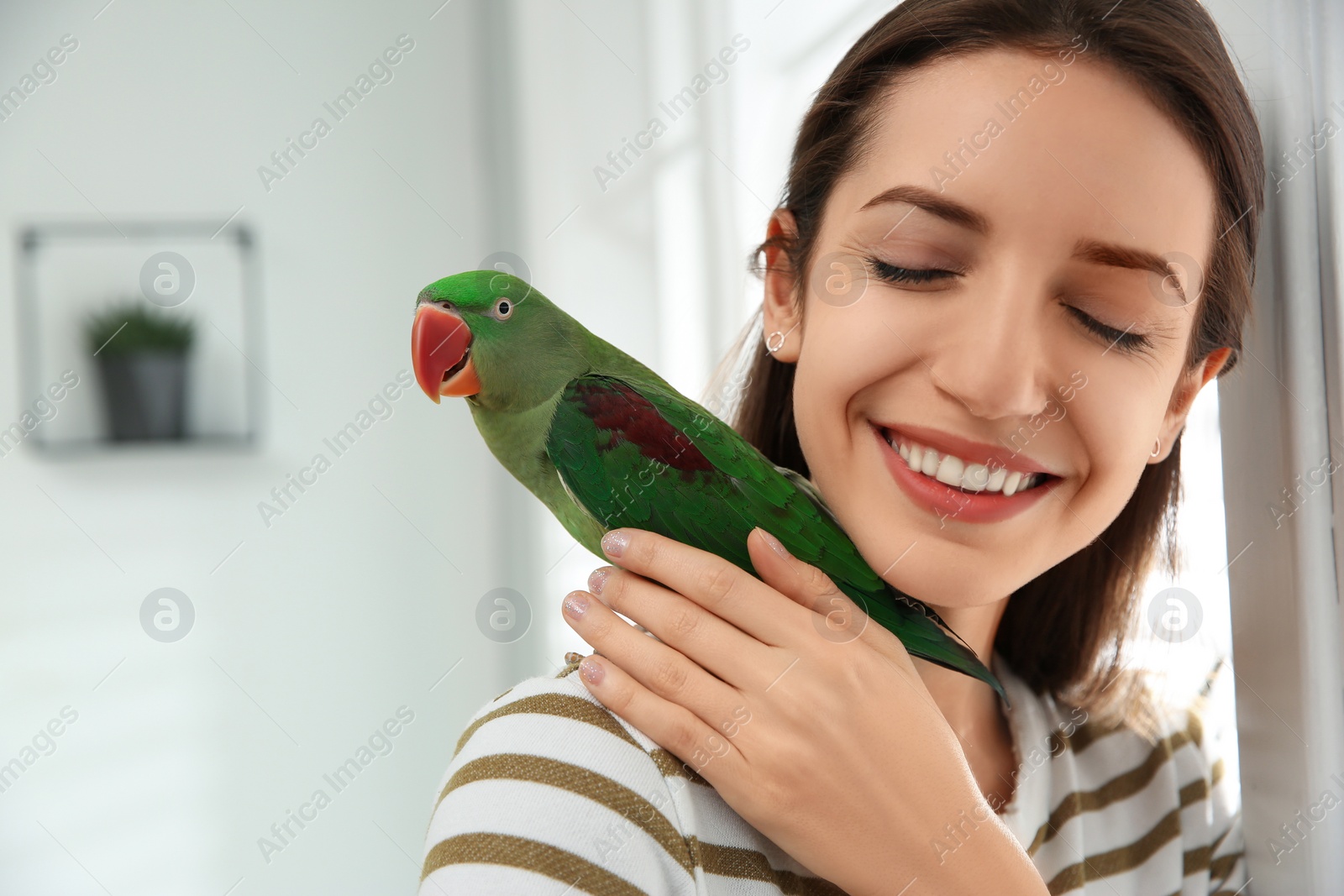 Photo of Young woman with cute Alexandrine parakeet indoors