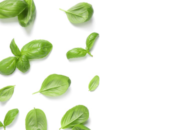 Fresh green basil leaves on white background, top view