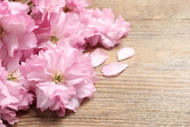 Photo of Beautiful sakura tree blossoms on wooden table, closeup. Space for text