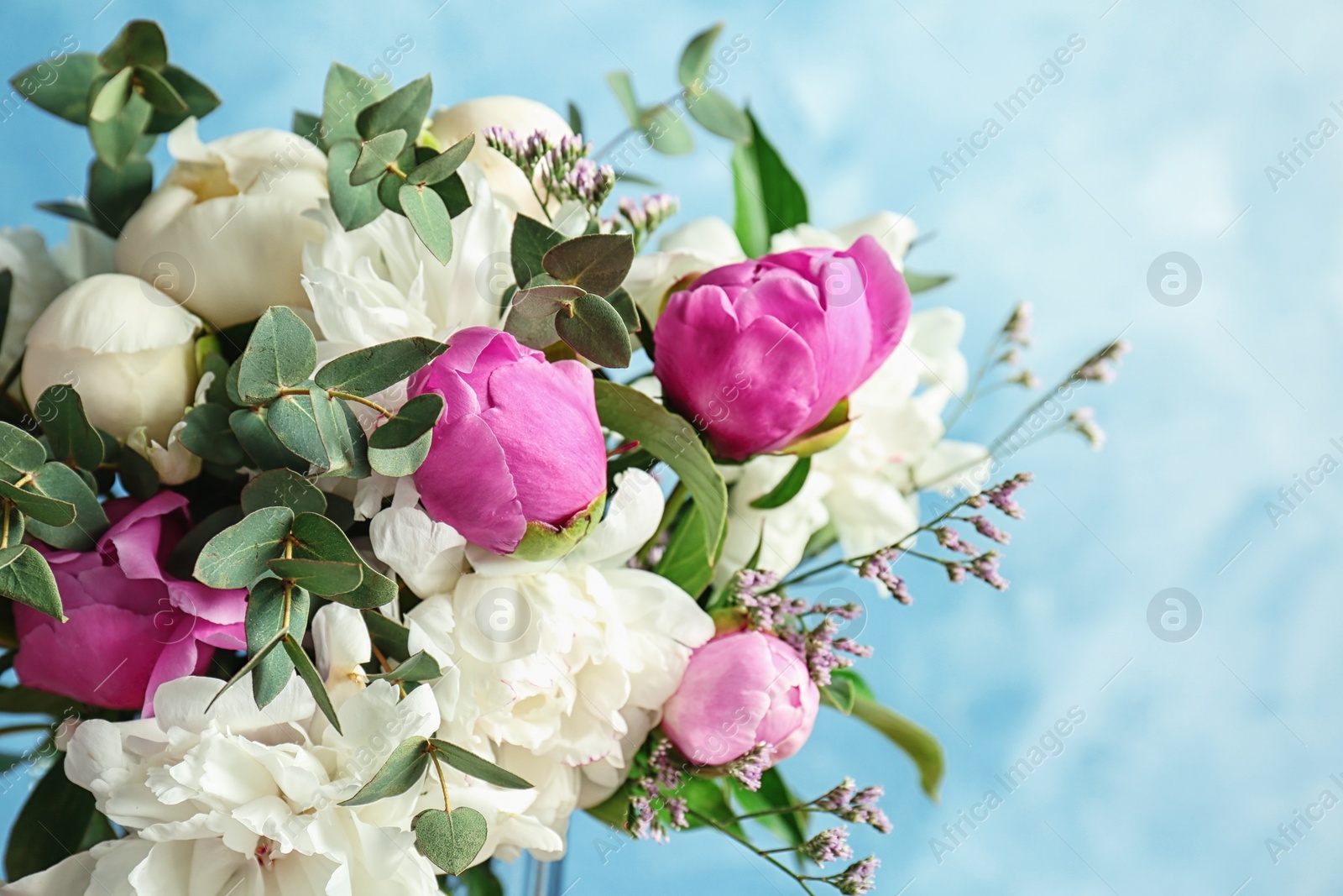 Photo of Bouquet of beautiful flowers on color background