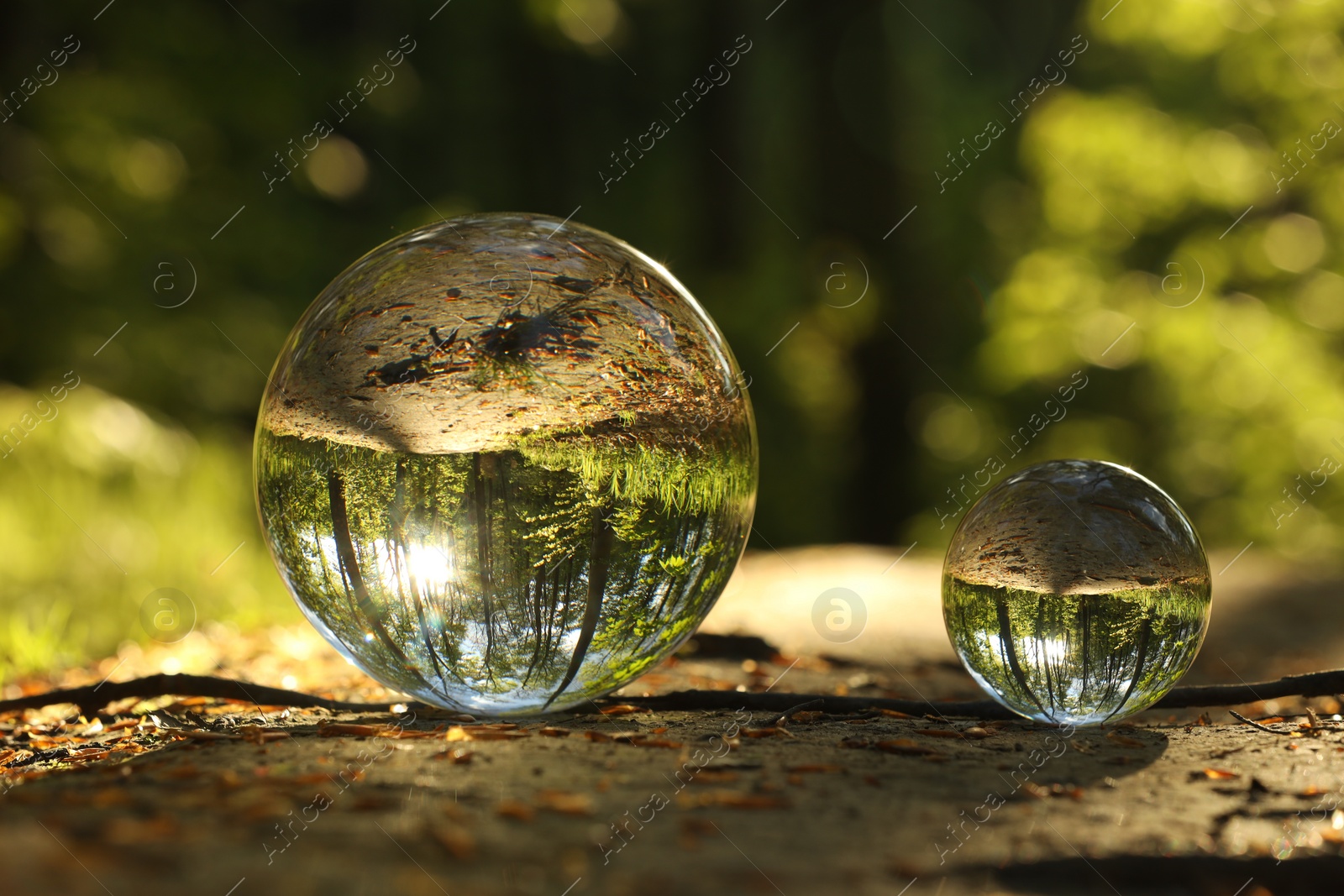 Photo of Beautiful forest with green trees, overturned reflection. Crystal balls on ground outdoors