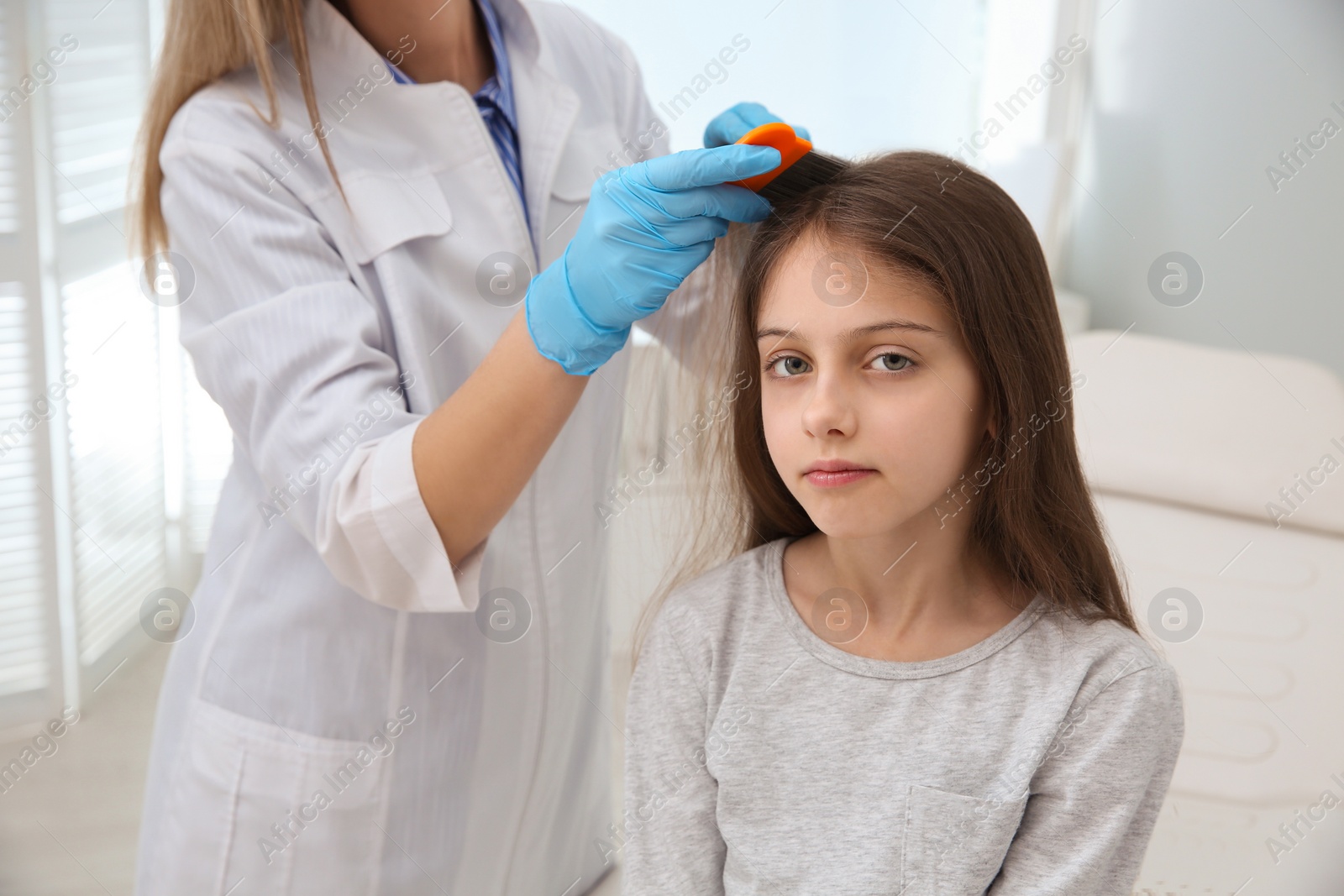 Photo of Doctor using nit comb on girl's hair in clinic. Anti lice treatment