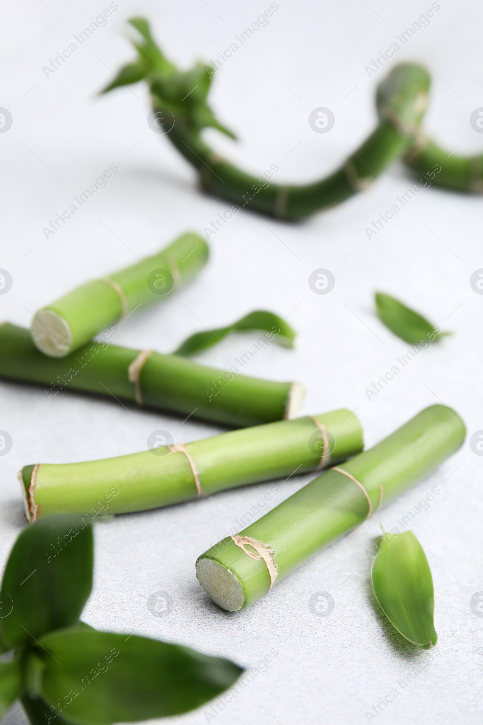 Photo of Pieces of beautiful green bamboo stems on light background