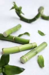 Pieces of beautiful green bamboo stems on light background