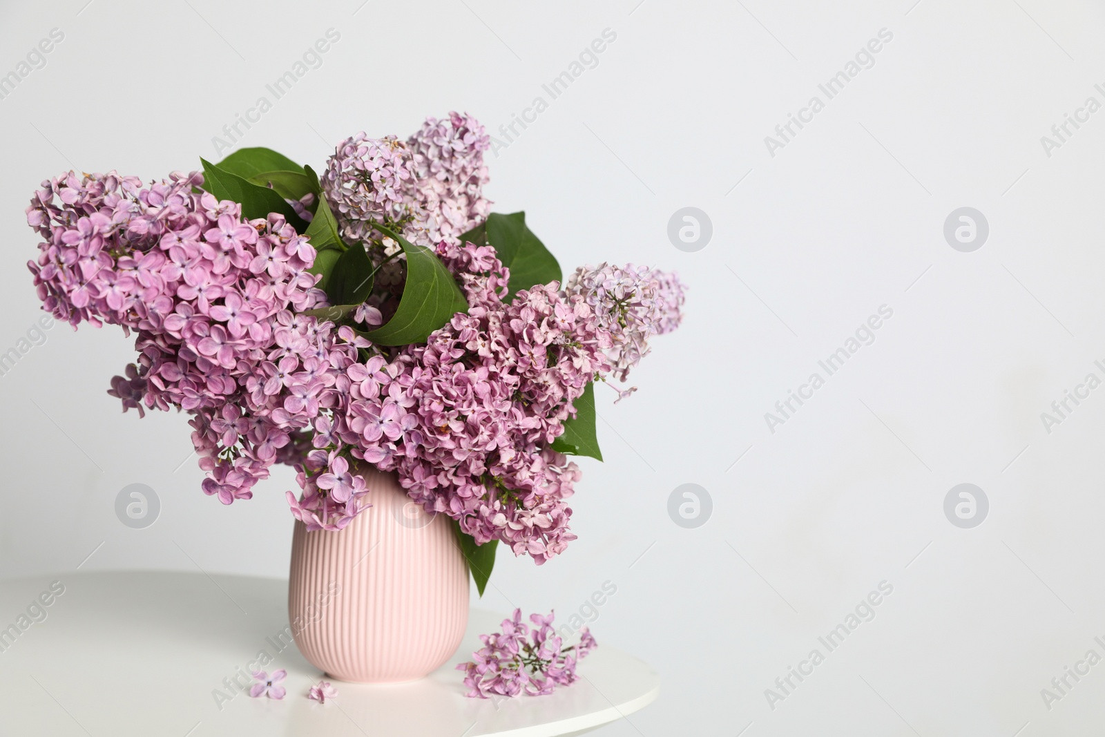 Photo of Beautiful lilac flowers in vase on white table. Space for text