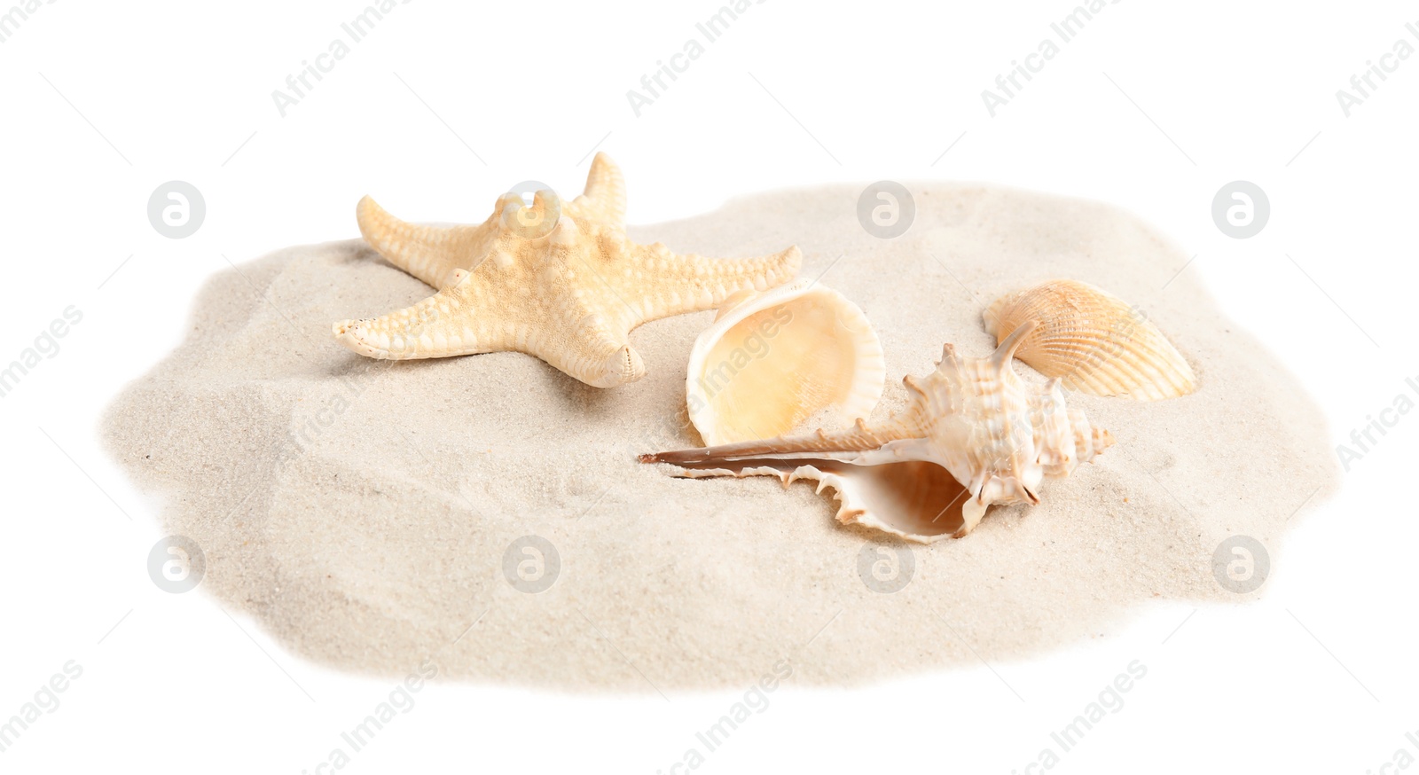 Photo of Pile of beach sand with beautiful starfish and sea shells on white background