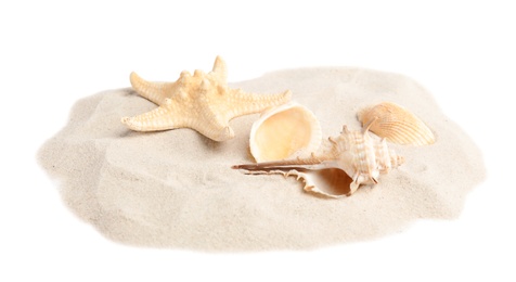 Pile of beach sand with beautiful starfish and sea shells on white background