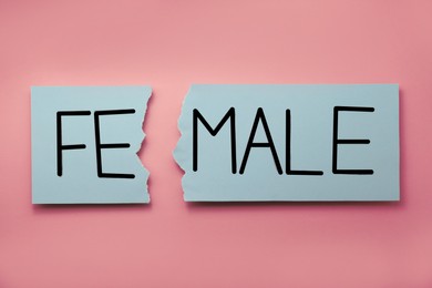 Photo of Torn paper with parts Fe and Male on pink background, top view. Gender inequality