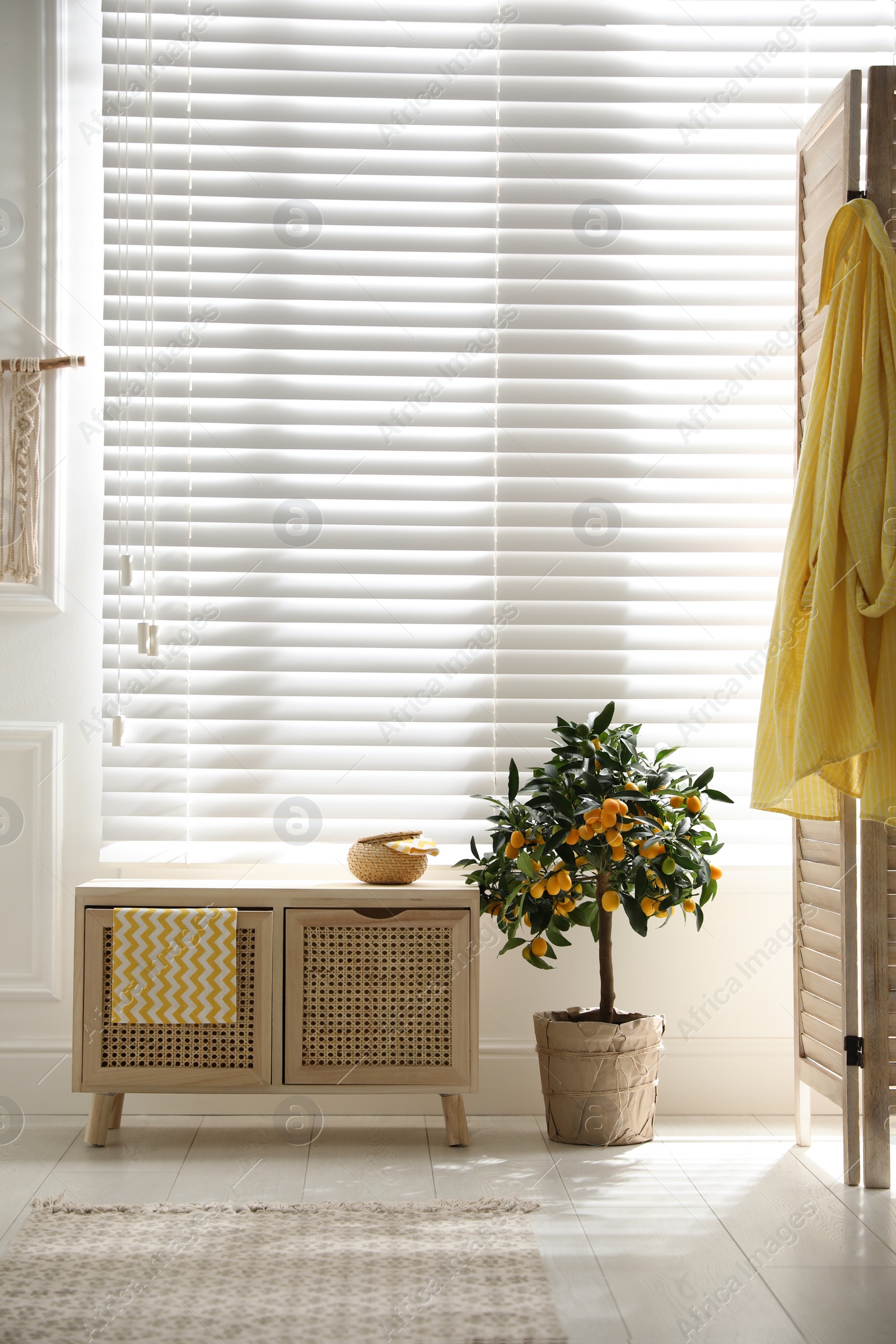 Photo of Wooden commode near window in room. Interior design