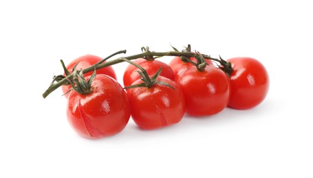 Photo of Branch of red roasted cherry tomatoes isolated on white