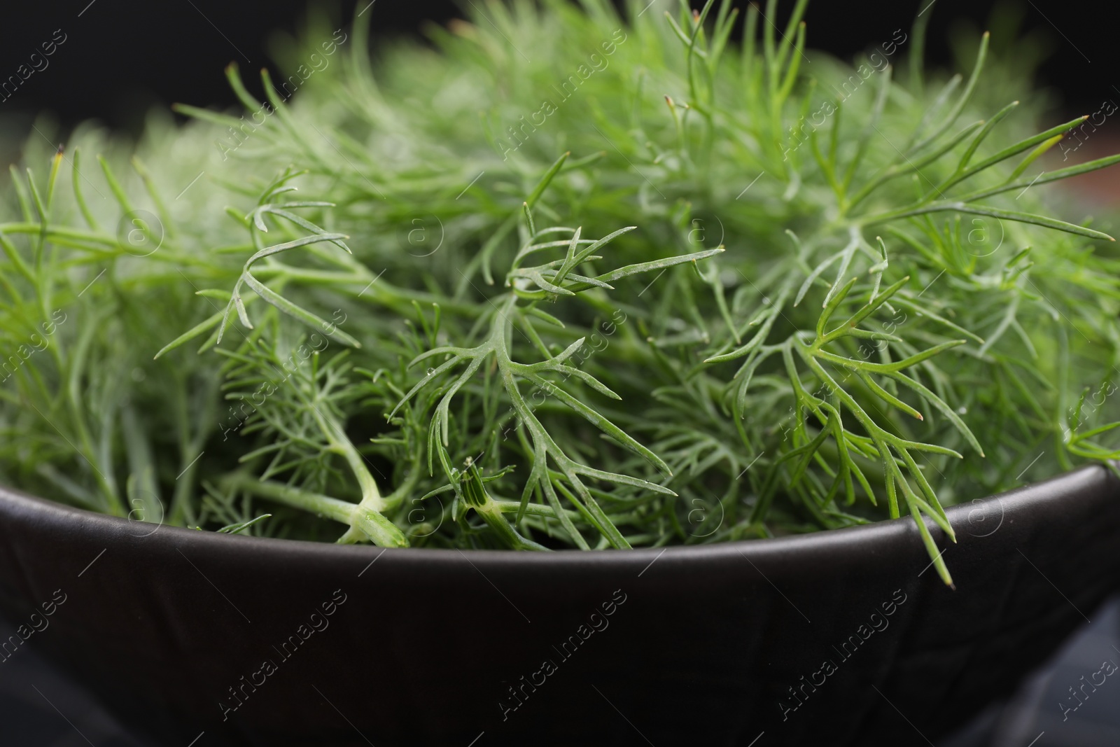 Photo of Bowl of fresh dill on table, closeup view
