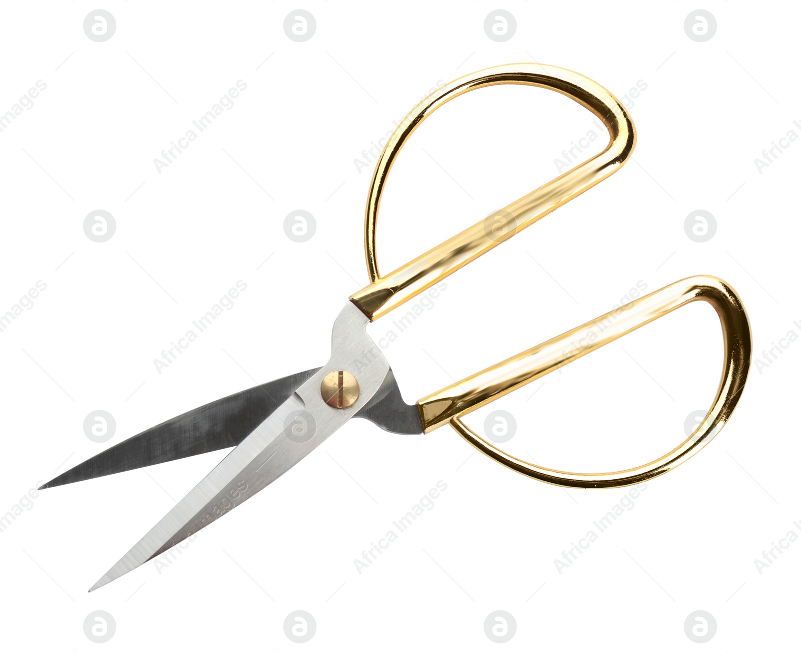 Photo of Pair of sharp sewing scissors on white background