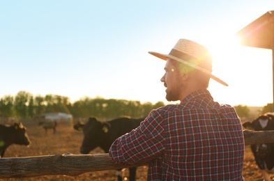 Worker standing near cow pen on farm. Animal husbandry