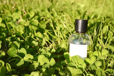 Photo of Bottle of perfume on green grass outdoors on sunny day