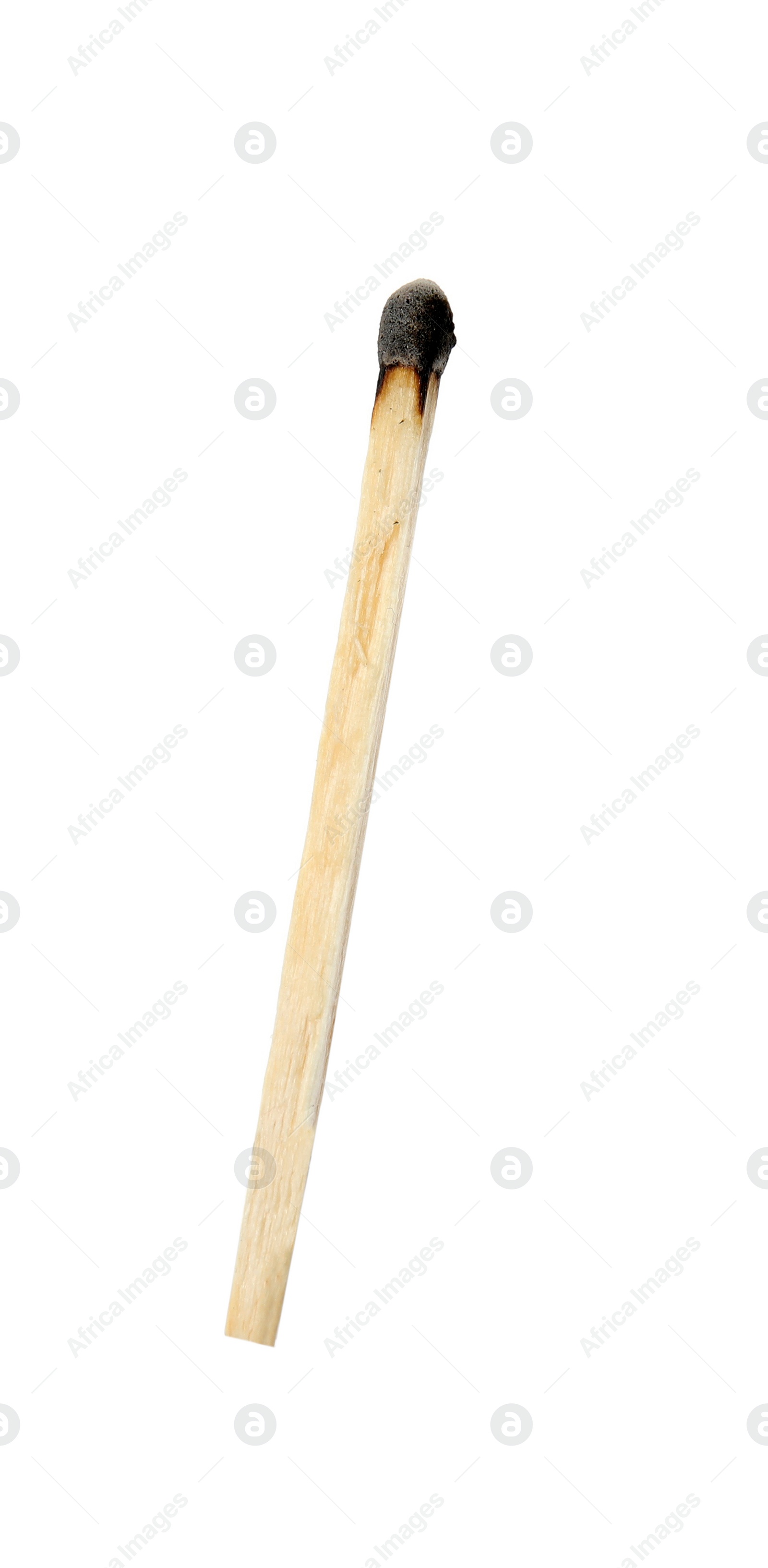 Photo of One burnt match isolated on white. Tool for starting fire