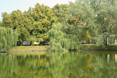 Quiet park with trees and lake on sunny day