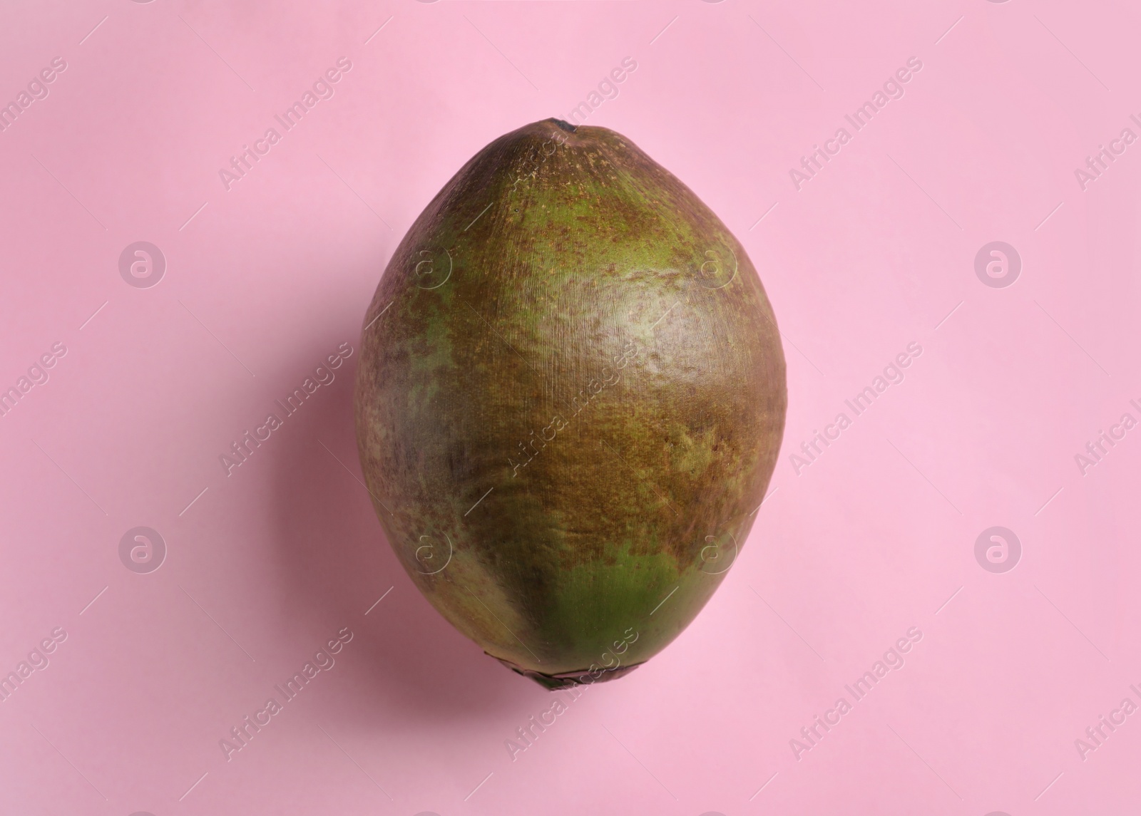 Photo of Fresh green coconut on color background