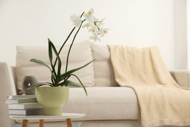 Blooming white orchid flower in pot, books and candle on side table at home, space for text