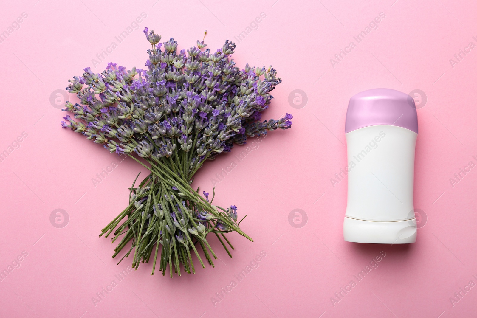 Photo of Female deodorant and lavender flowers on pink background, flat lay