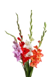 Photo of Beautiful bouquet of gladiolus flowers on white background