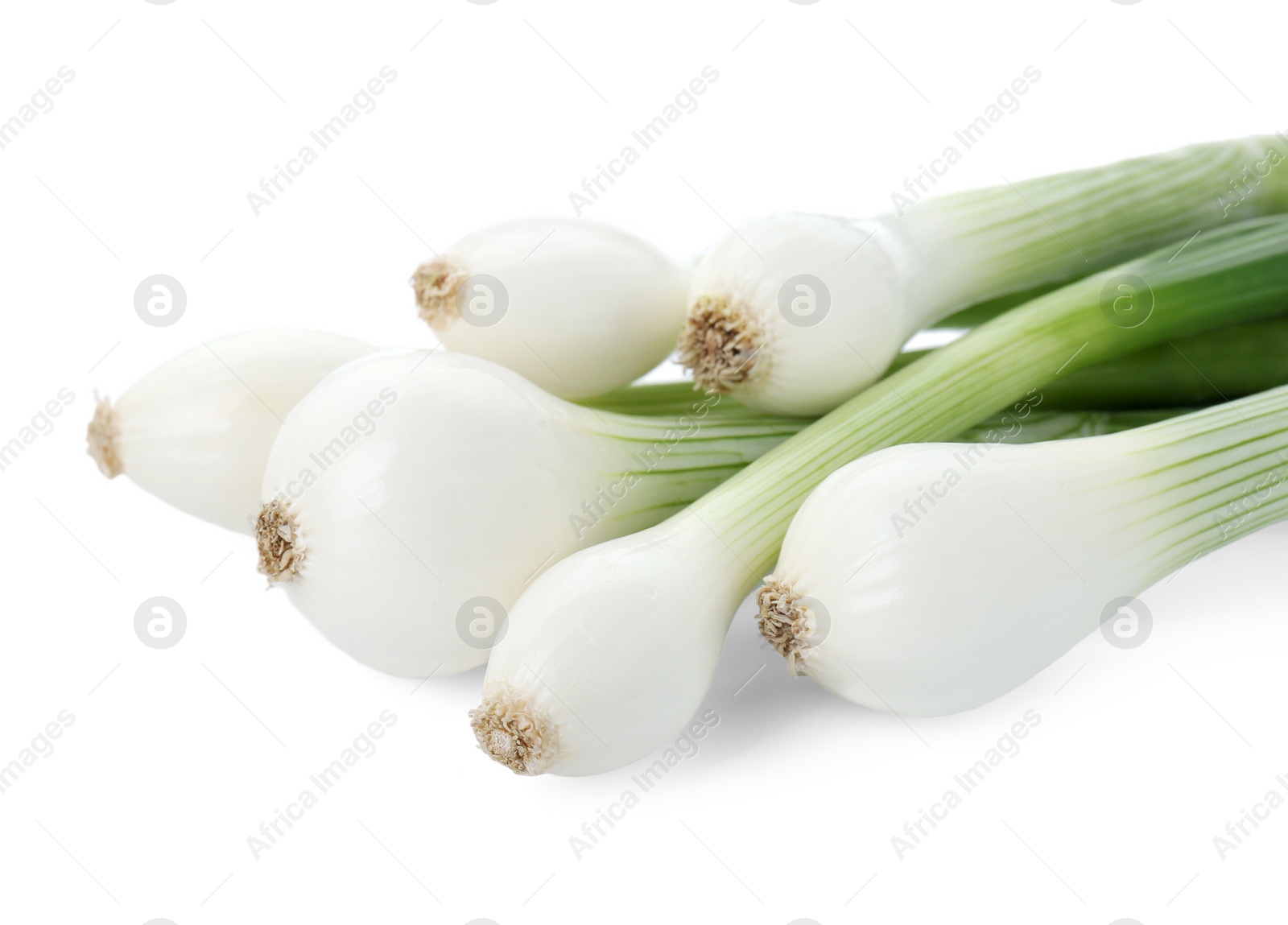 Photo of Whole green spring onions isolated on white