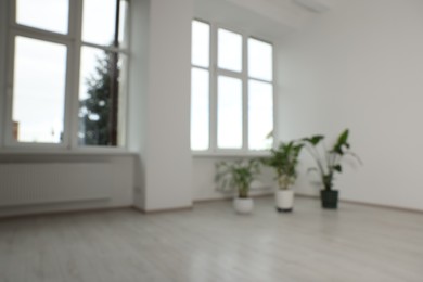 Photo of Blurred view of renovated room with potted houseplants and windows