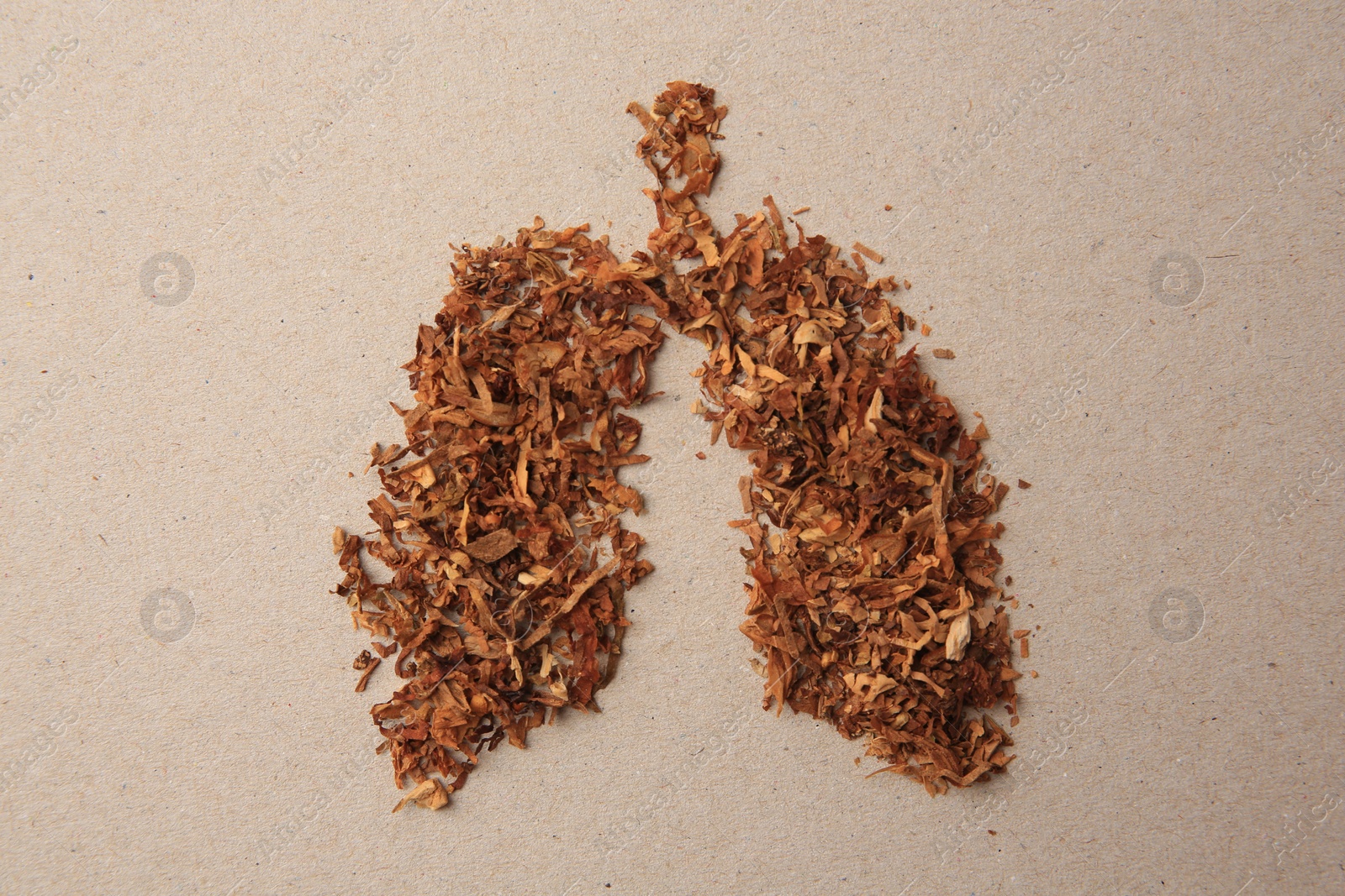 Photo of Human lungs made of tobacco on paper, top view. No smoking concept