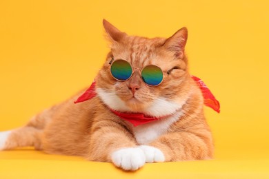 Photo of Cute ginger cat in stylish sunglasses and bandana on yellow background