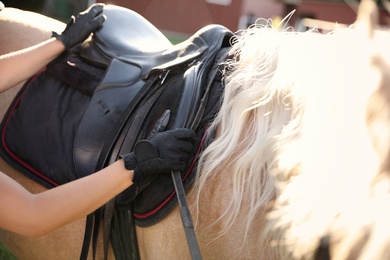 Photo of Young woman putting saddle on horse outdoors, closeup. Beautiful pet