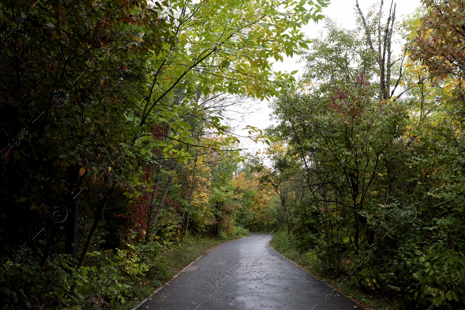 Photo of Beautiful view of pathway in park on autumn day