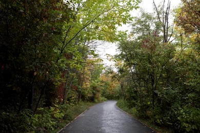 Photo of Beautiful view of pathway in park on autumn day