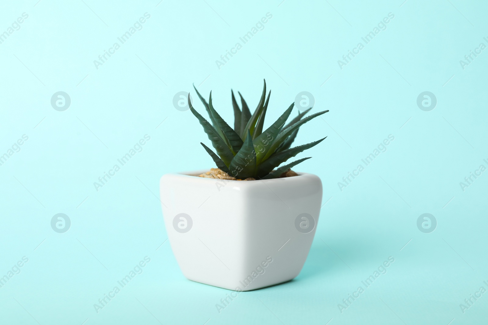 Photo of Artificial plant in flower pot on light blue background