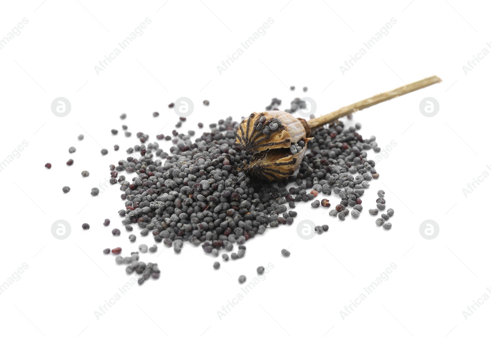 Photo of Dried poppyhead and seeds on white background