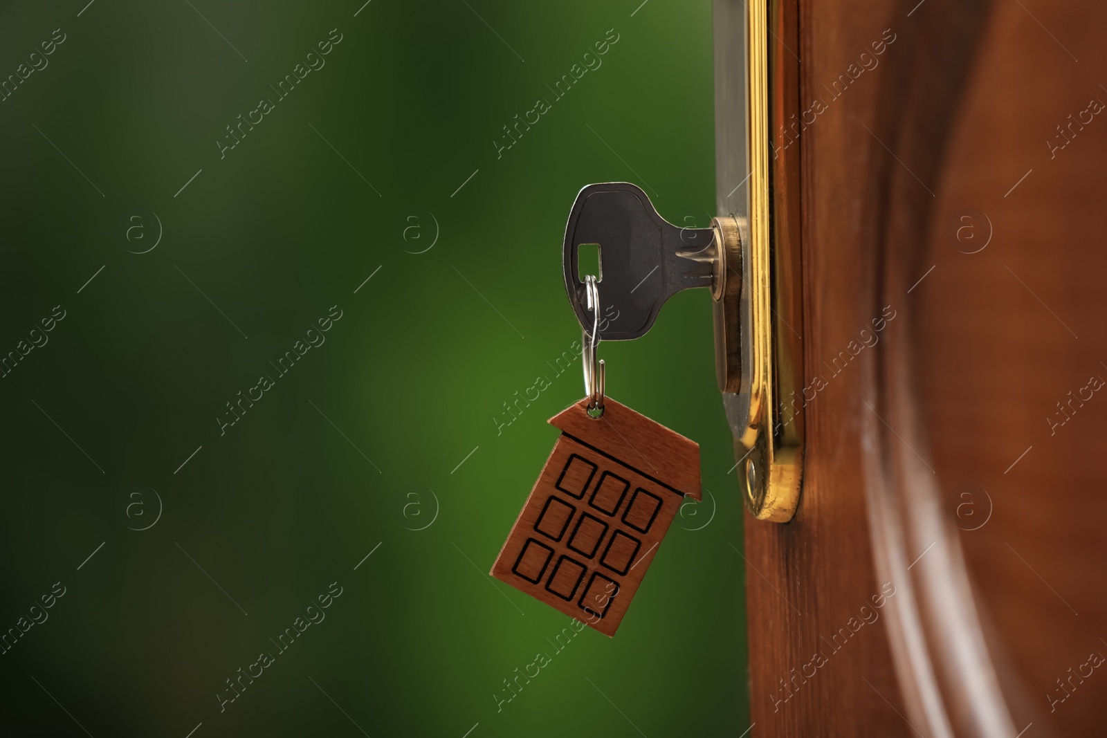 Photo of Open door with key on blurred green background, closeup. Space for text
