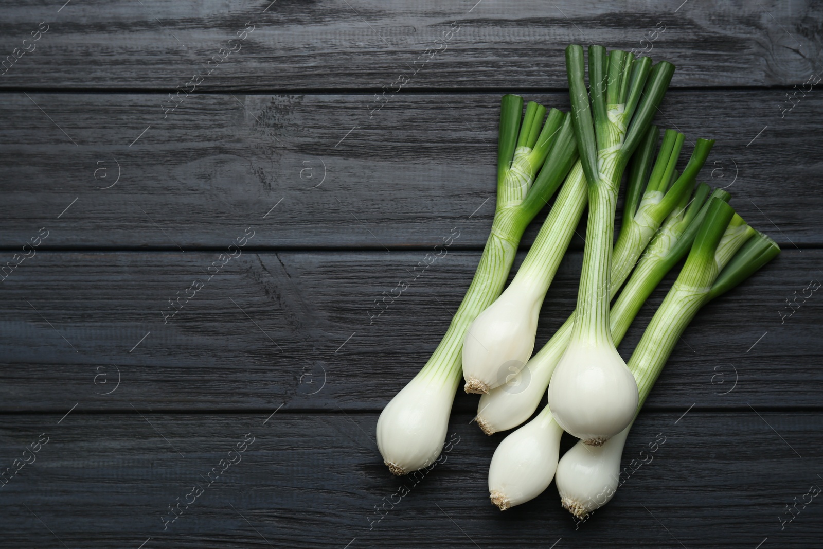 Photo of Whole green spring onions on black wooden table, flat lay. Space for text