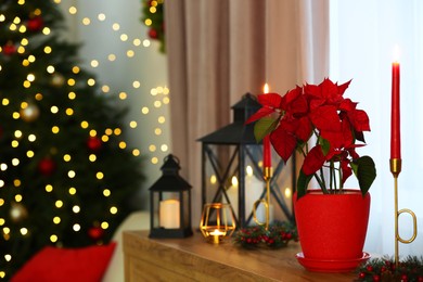 Photo of Potted poinsettia, burning candles and festive decor on dresser in room, space for text. Christmas traditional flower