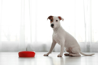 Photo of Cute Jack Russel Terrier near feeding bowl indoors. Lovely dog