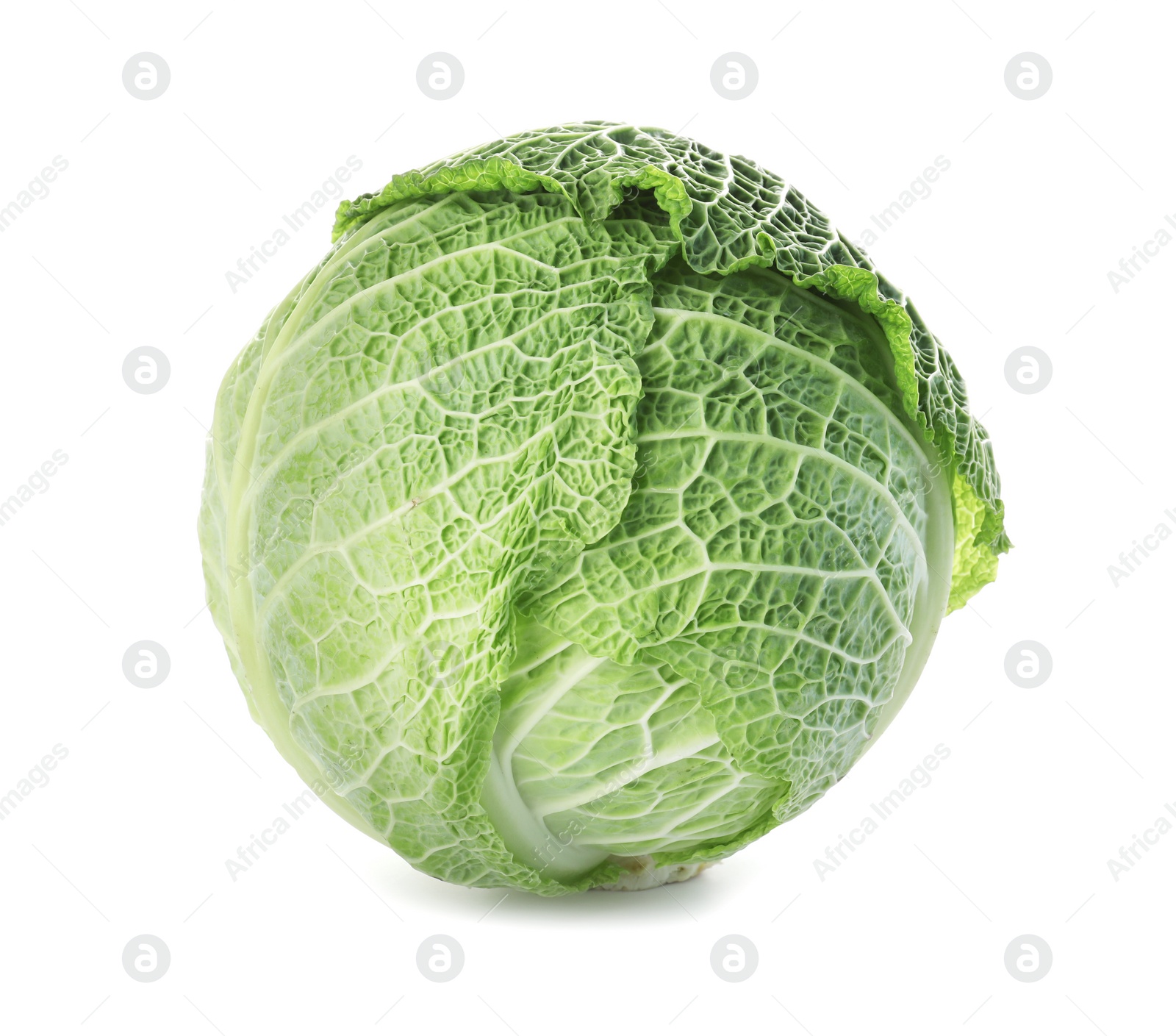 Photo of Fresh green savoy cabbage on white background