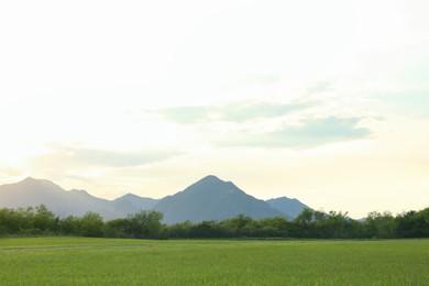 Photo of Beautiful view of mountain landscape on sunny day