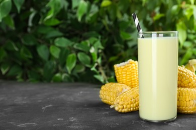 Photo of Tasty fresh corn milk and cobs on grey table against blurred background. Space for text