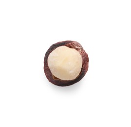 Half of delicious organic Macadamia nut isolated on white, top view