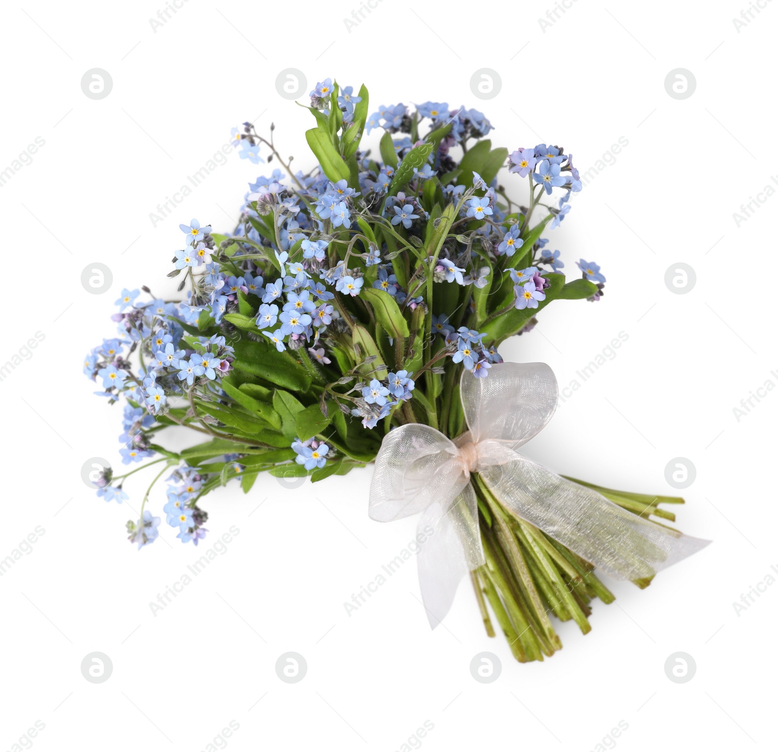 Photo of Bouquet of beautiful forget-me-not flowers on white background, top view. Space for text