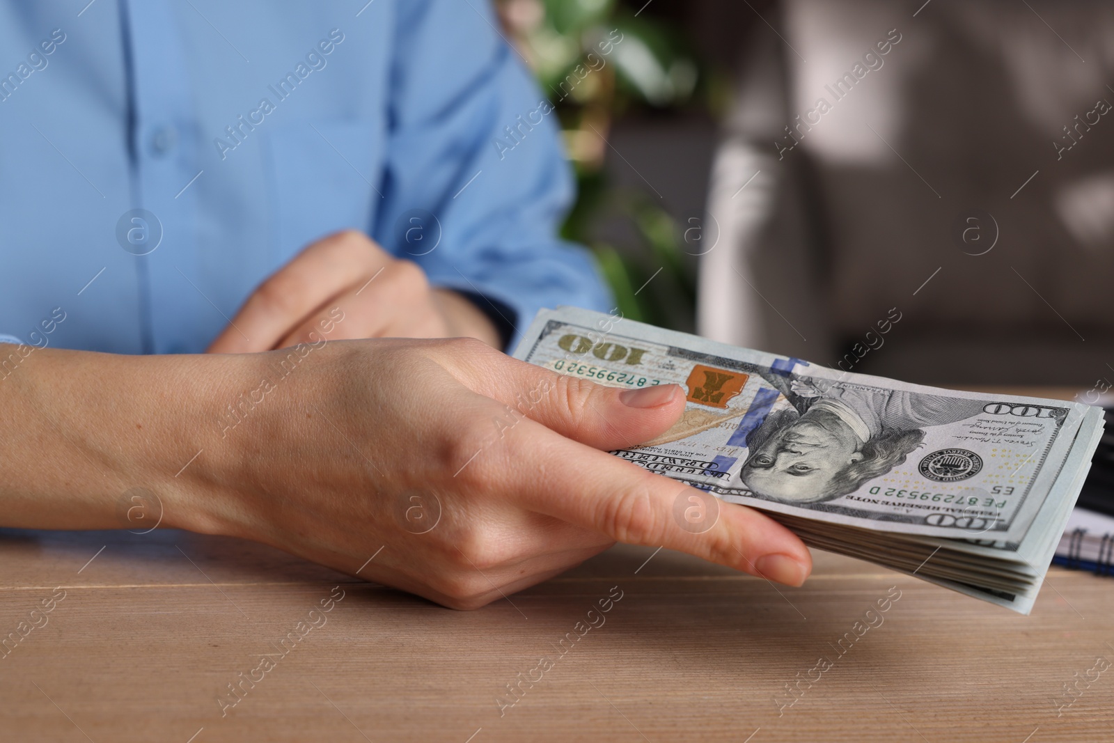 Photo of Money exchange. Woman holding dollar banknotes at wooden table, closeup